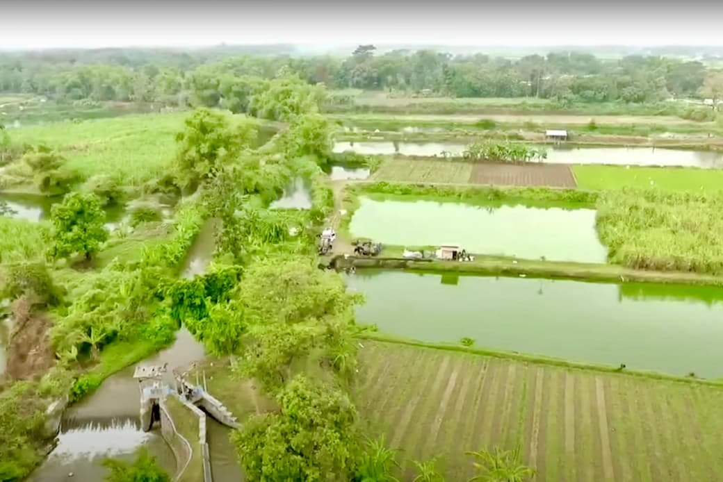 Mengenal Desa Rejoagung, Potensi Desa Meningkat Setelah Program Penataan Akses Reforma Agraria